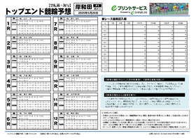 電子版
